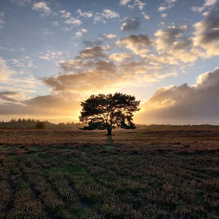 Cozy Tiny House Between Veluwe En Veluwemeer - With Free Use Of Bikes เออร์เมโล ภายนอก รูปภาพ